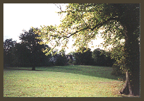 Field from Old Bowling Green